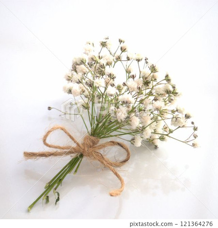 Bouquet of dried flowers on a white background 121364276