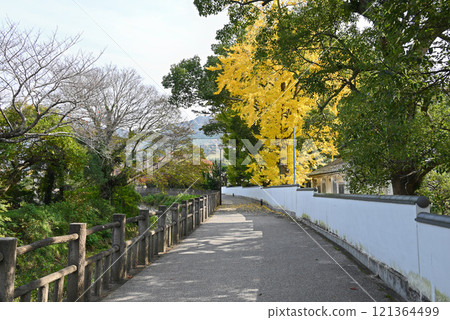 松陰神社旁的步道與自行車道[山口縣萩市] 121364499
