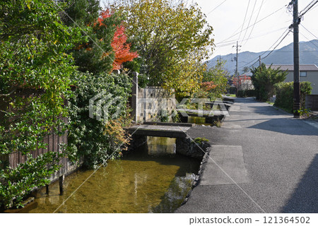 [山口縣萩市]相葉川沿岸的風景 121364502