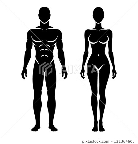 Black silhouette illustration of adult healthy men and women, cut out on transparent background Black silhouette illustration of adult healthy men and women, cut out on transparent background 121364603