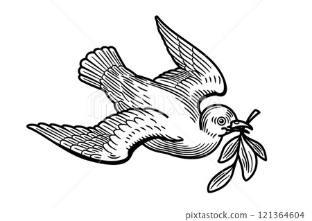 White dove with olive branch, a symbol of peace and pacifism. After the flood, a dove released by Noah returns to the ark with a fresh olive branch in its beak, a sign of peace between God and man. White dove with olive branch, a symbol of peace and pacifism. After the flood, a dove released by Noah returns to the ark with a fresh olive branch in its beak, a sign of peace between God and man. 121364604