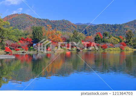 [Kyoto Prefecture] Symmetrical autumn leaves at Daikakuji Temple (Osawa Pond) 121364703