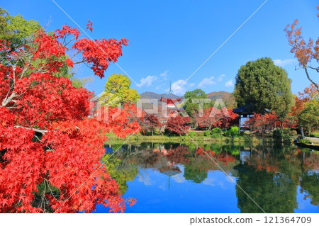 [Kyoto Prefecture] Symmetrical autumn leaves at Daikakuji Temple (Osawa Pond) 121364709