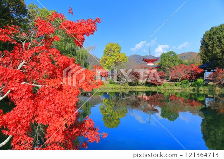 [京都府]大覺寺（大澤池）對稱的秋葉 121364713