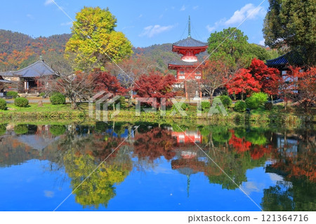 [Kyoto Prefecture] Symmetrical autumn leaves at Daikakuji Temple's Heart Sutra Pagoda (Hojo Pond) 121364716