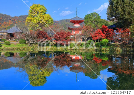 [Kyoto Prefecture] Symmetrical autumn leaves at Daikakuji Temple's Heart Sutra Pagoda (Hojo Pond) 121364717