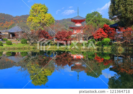 [Kyoto Prefecture] Symmetrical autumn leaves at Daikakuji Temple's Heart Sutra Pagoda (Hojo Pond) 121364718