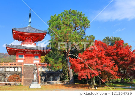 [Kyoto Prefecture] Daikakuji Temple: Heart Sutra Pagoda and autumn leaves on a clear day 121364729