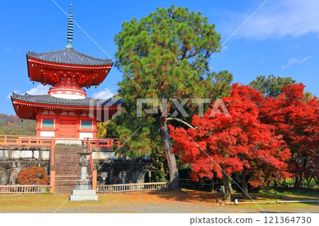 [Kyoto Prefecture] Daikakuji Temple: Heart Sutra Pagoda and autumn leaves on a clear day 121364730