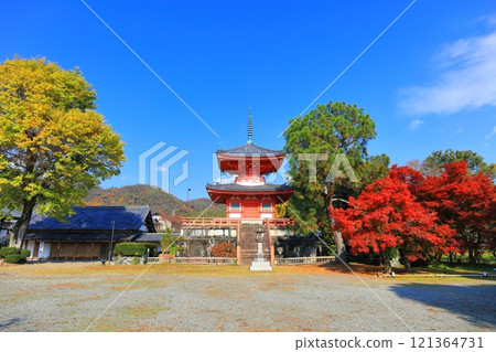 [Kyoto Prefecture] Daikakuji Temple: Heart Sutra Pagoda and autumn leaves on a clear day 121364731