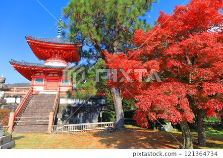 [Kyoto Prefecture] Daikakuji Temple: Heart Sutra Pagoda and autumn leaves on a clear day 121364734