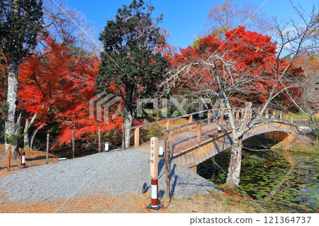 [Kyoto Prefecture] Autumn foliage at Osawa Pond in Daikakuji Temple on a clear day 121364737
