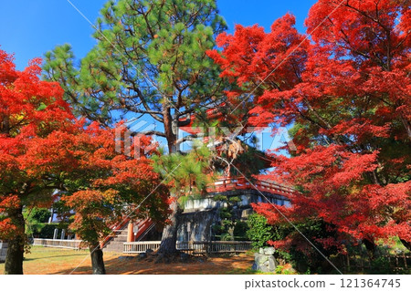 [京都府] 大覺寺的晴空、神橋寶塔和秋葉 121364745