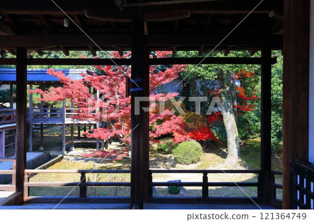 [Kyoto Prefecture] Autumn leaves at Daikakuji Temple on a clear day 121364749