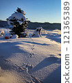Snow and rabbit footprints 121365389
