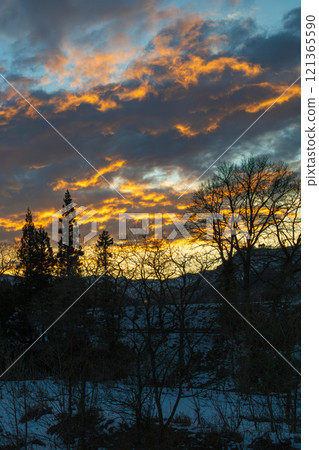 A sunset in a snowy country with beautiful color contrast (vertical angle) A sunset in a snowy country with beautiful color contrast (vertical angle) 121365590