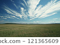 風景與草地 121365609