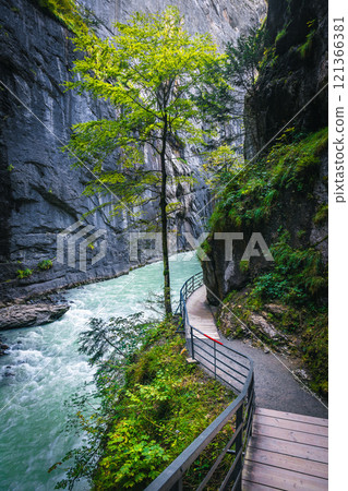 Hiking footbridge with Aare river in the Aare gorge Hiking footbridge with Aare river in the Aare gorge 121366381