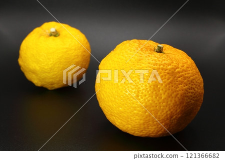 Citron  121366682