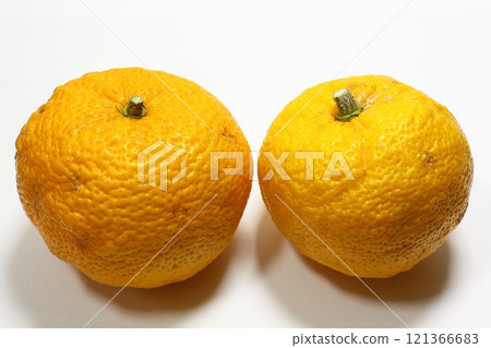Citron Citron 121366683