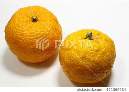 Citron Citron 121366684