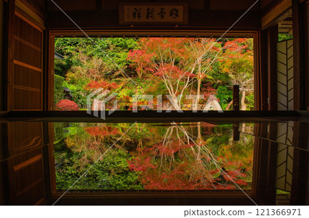 Upside-down autumn leaves at Jufukuji Temple Upside-down autumn leaves at Jufukuji Temple 121366971