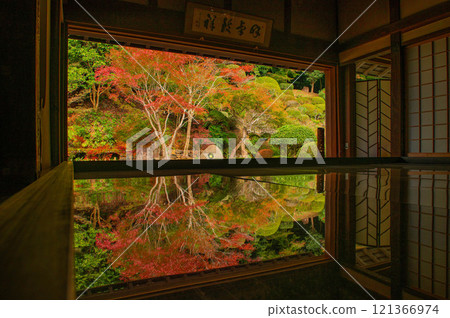Upside-down autumn leaves at Jufukuji Temple Upside-down autumn leaves at Jufukuji Temple 121366974
