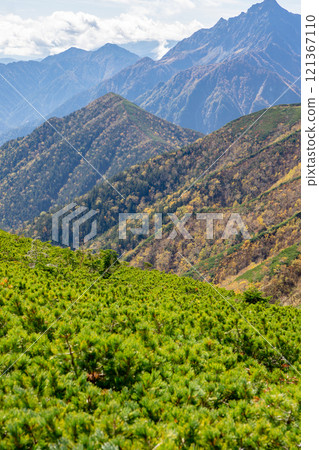 View of the autumn leaves of Ichinomata Valley from Mt. Yokotsutsu, Northern Alps, Mt. Otenjo Panorama, Ginza Traverse View of the autumn leaves of Ichinomata Valley from Mt. Yokotsutsu, Northern Alps, Mt. Otenjo Panorama, Ginza Traverse 121367110