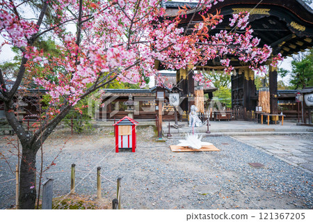 拍攝春天的豐國神社，神社供奉京都市東山區的豐臣秀吉太鼓。 121367205