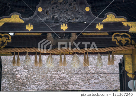 拍攝春天的豐國神社,神社供奉京都市東山區的豐臣秀吉太鼓。 拍攝春天的豐國神社,神社供奉京都市東山區的豐臣秀吉太鼓。 121367240