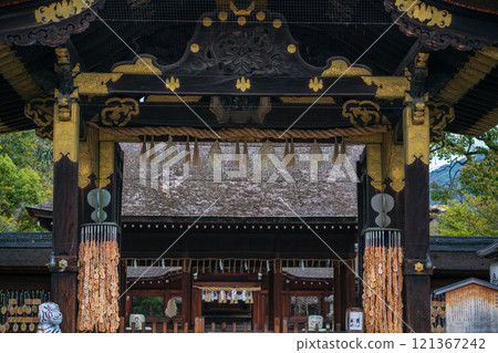 拍攝春天的豐國神社，神社供奉京都市東山區的豐臣秀吉太鼓。 121367242