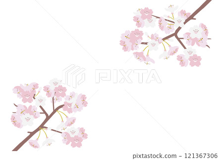 Cherry background Cherry background 121367306