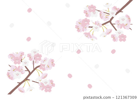 櫻花背景與舞動的花瓣 櫻花背景與舞動的花瓣 121367309