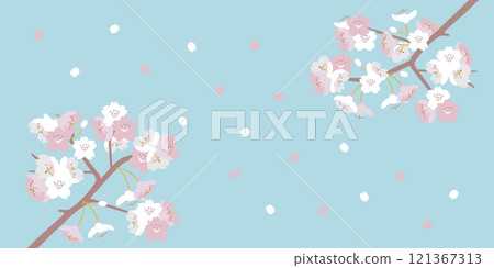 櫻花背景與藍天中舞動的花瓣 櫻花背景與藍天中舞動的花瓣 121367313