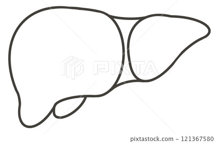 象徵肝臟的圖標，健康和代謝功能的簡單表示 121367580