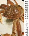 Living Crab 121368585