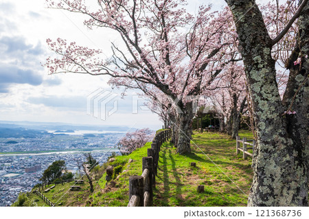 久松山頂的櫻花和鳥取市的街景，朝向小山池 121368736