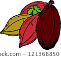 Hand-drawn cluster of cacao 121368850