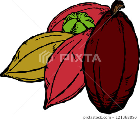 Hand-drawn cluster of cacao 121368850