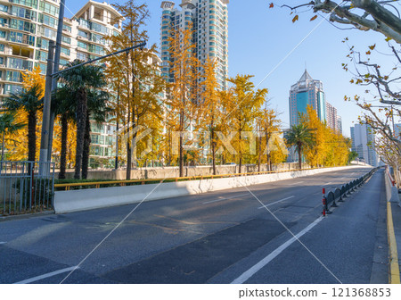 銀杏樹下的上坡道路 銀杏樹下的上坡道路 121368853
