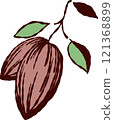 Hand-drawn cacao and leaves 121368899