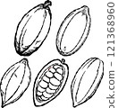 Hand drawn cacao line drawing set 121368960