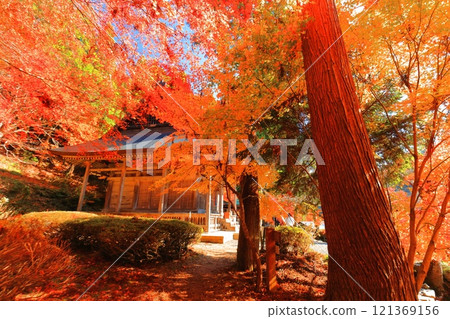 [Shiga Prefecture] Autumn leaves at Ishido-ji Temple on a clear day (Keisoku-ji Temple) 121369156
