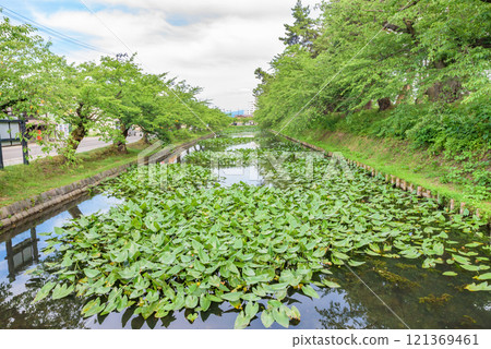 青森縣弘前市津輕城跡、弘前城(史蹟)、弘前公園 青森縣弘前市津輕城跡、弘前城(史蹟)、弘前公園 121369461