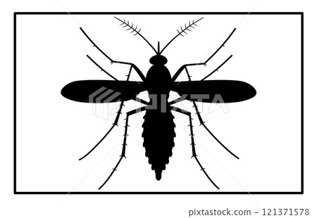Black silhouettes of mosquito in different poses isolated on white background, The Best Mosquito icon 121371578