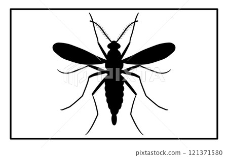 Black silhouettes of mosquito in different poses isolated on white background, The Best Mosquito icon Black silhouettes of mosquito in different poses isolated on white background, The Best Mosquito icon 121371580