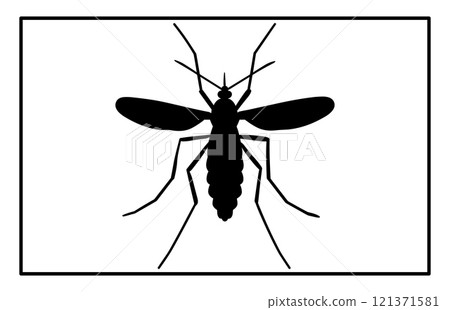 Black silhouettes of mosquito in different poses isolated on white background, The Best Mosquito icon 121371581