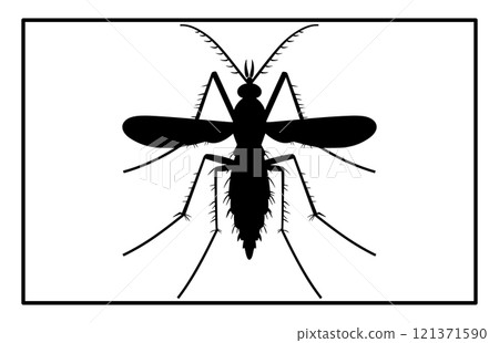 Black silhouettes of mosquito in different poses isolated on white background, The Best Mosquito icon 121371590