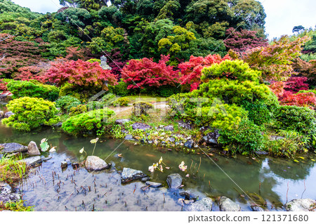 Autumn leaves at Chofu Garden [Shimonoseki City, Yamaguchi Prefecture] 121371680