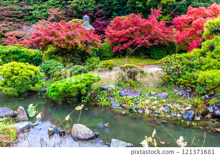 Autumn leaves at Chofu Garden [Shimonoseki City, Yamaguchi Prefecture] 121371681